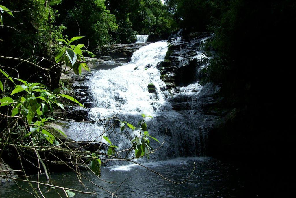 Отель Terra Do Sempre - Reserva Ambiental Сан-Франсиску-ди-Паула Экстерьер фото