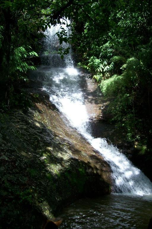 Отель Terra Do Sempre - Reserva Ambiental Сан-Франсиску-ди-Паула Экстерьер фото