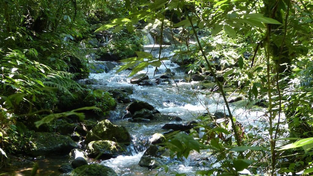 Отель Terra Do Sempre - Reserva Ambiental Сан-Франсиску-ди-Паула Экстерьер фото